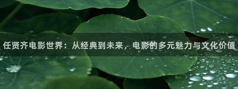樱桃视频黄版下载