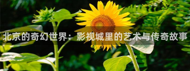 樱桃s直播在线下载：北京的奇幻世界：影视城里的艺术与传奇故事