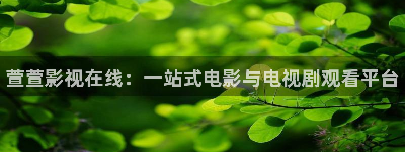 樱桃视频色版下载：萱萱影视在线：一站式电影与电视剧观看平台