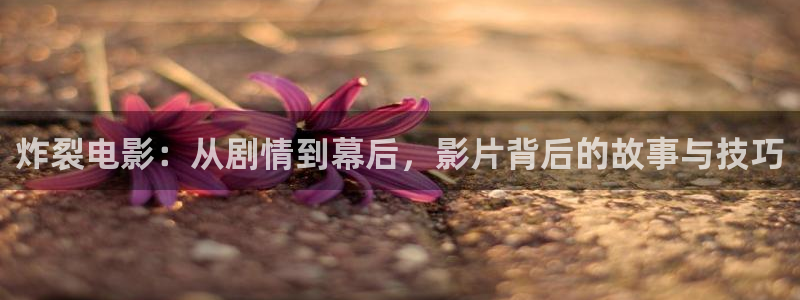 樱桃视频网站在线看：炸裂电影：从剧情到幕后，影片背后的故事与技巧