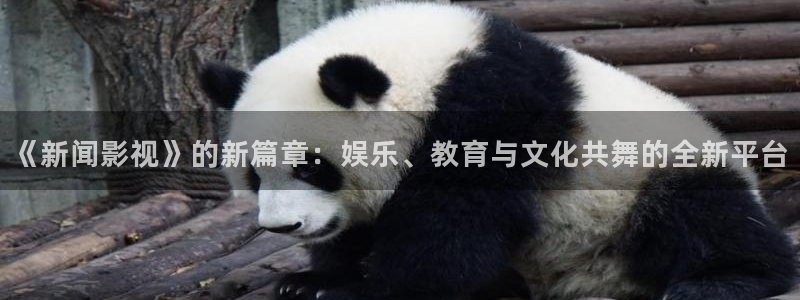 樱桃罐头做法视频