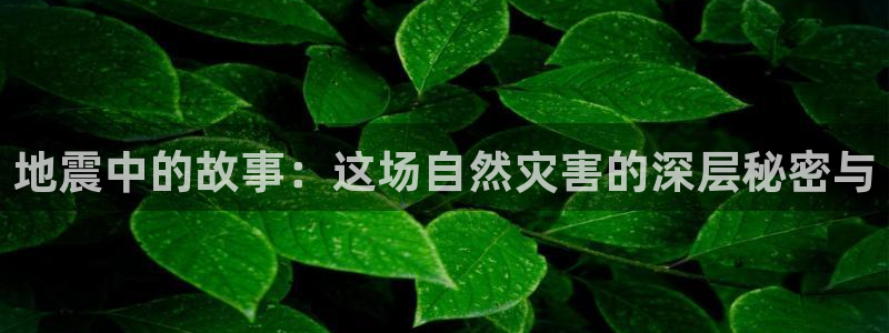 樱桃t：地震中的故事：这场自然灾害的深层秘密与