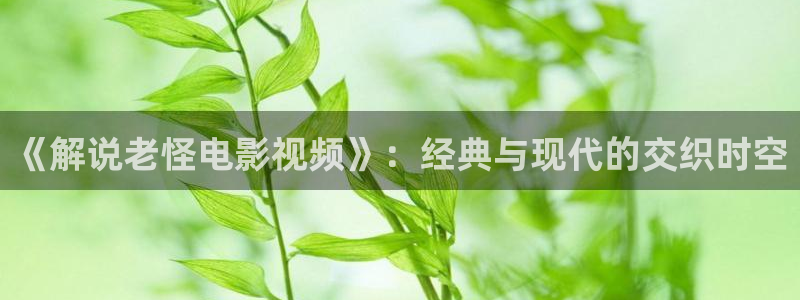 视频app樱桃：《解说老怪电影视频》：经典与现代的交织时空