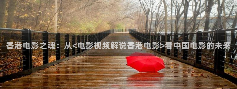 樱桃电影完整版：香港电影之魂：从<电影视频解说香港电影>看中国电影的未来