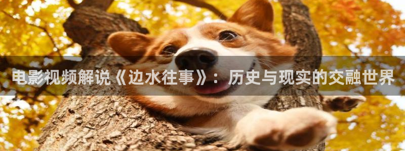 爱樱桃视频：电影视频解说《边水往事》：历史与现实的交融世界