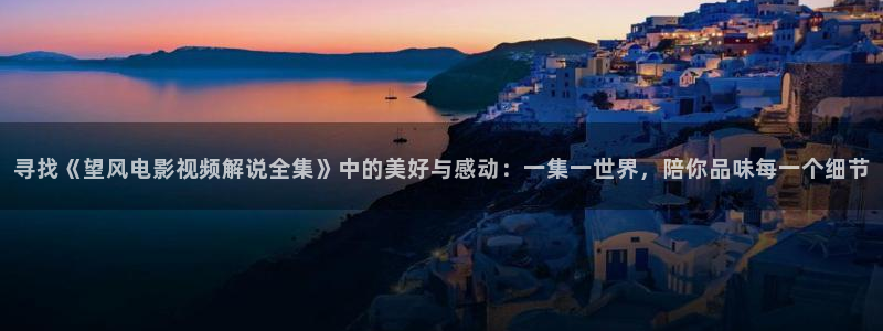 樱桃的照片：寻找《望风电影视频解说全集》中的美好与感动：一集一世界，陪你品味每一个细节