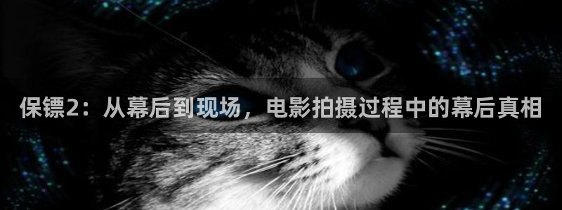 樱桃演的电影：保镖2：从幕后到现场，电影拍摄过程中的幕后真相