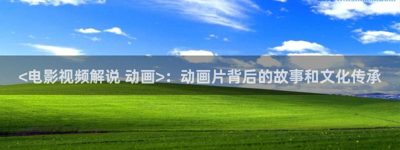 樱桃视频+大全免费