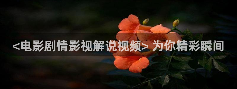 樱桃主演电视剧全集在线观看免费