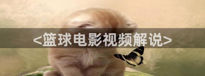 樱桃视频入口免费观看：<篮球电影视频解说>