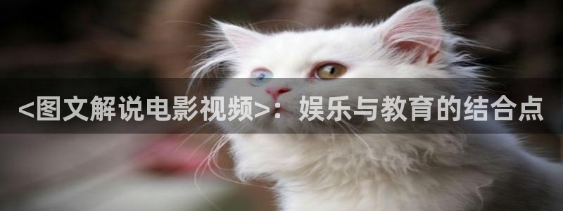 大樱桃管理视频：<图文解说电影视频>：娱乐与教育的结合点