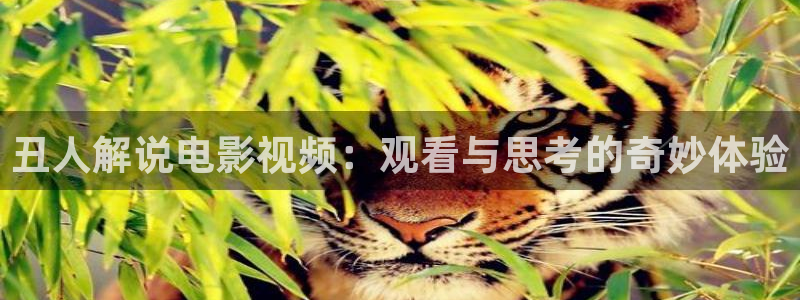 樱桃成视频人app下载免费