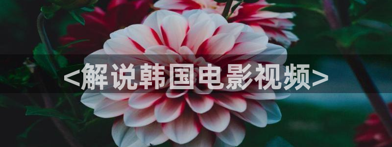 樱桃免费版在线观看电视剧大全：<解说韩国电影视频>