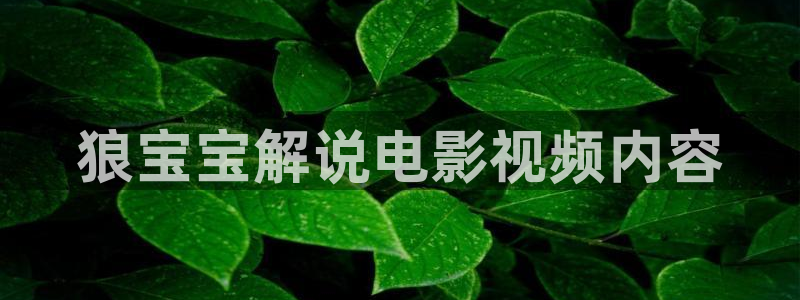 樱桃视频在线观看视频下载：狼宝宝解说电影视频内容