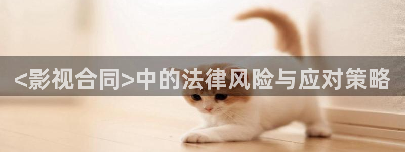 9.1樱桃视频：<影视合同>中的法律风险与应对策略
