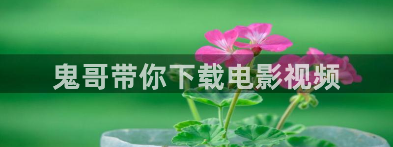 樱桃视频观看：鬼哥带你下载电影视频