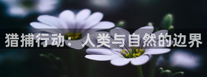 www.樱桃视频.com：猎捕行动：人类与自然的边界