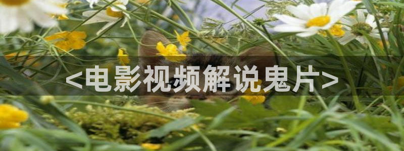 樱桃刷色视频：<电影视频解说鬼片>