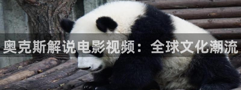 樱桃电影在线观看免费完整网址：奥克斯解说电影视频：全球文化潮流