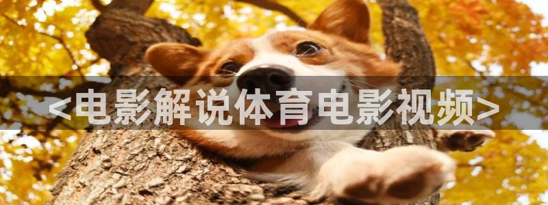 樱桃免费小视频：<电影解说体育电影视频>