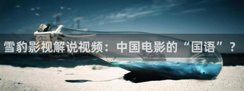 樱桃视频xxxxx：雪豹影视解说视频：中国电影的“国语”？