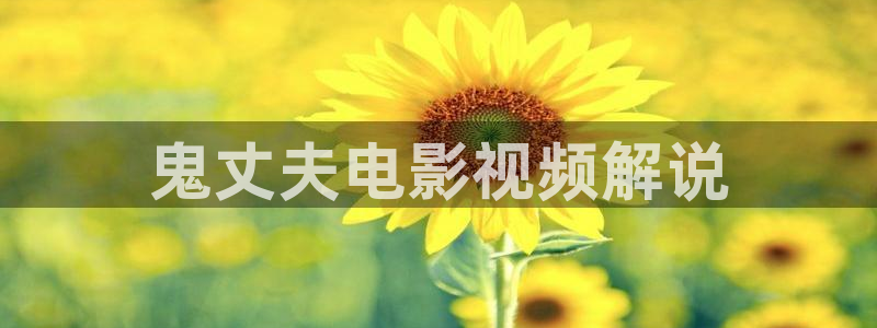 樱桃视频在线观看完整版：鬼丈夫电影视频解说