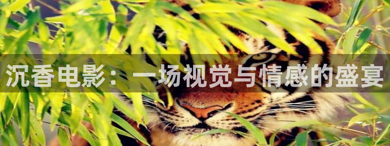 樱桃网站入口在线观看视频：沉香电影：一场视觉与情感的盛宴