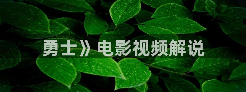 樱桃视频在线观看.：勇士》电影视频解说