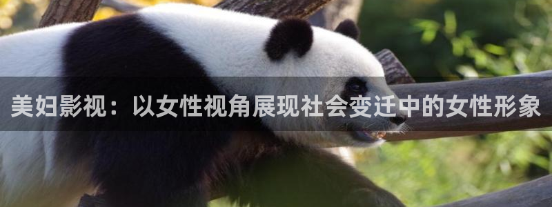 野樱桃电视剧在线观看全集免费：美妇影视：以女性视角展现社会变迁中的女性形象
