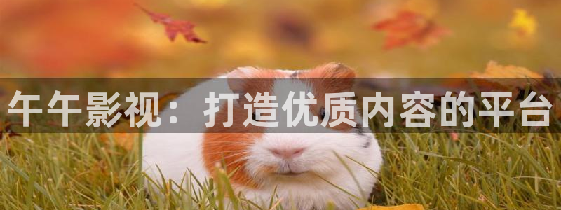美剧《樱桃》免费看：午午影视：打造优质内容的平台