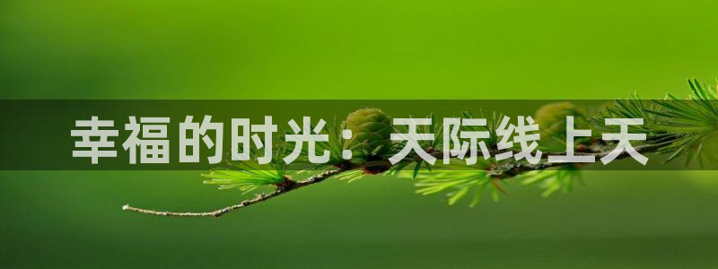 .樱桃视频：幸福的时光：天际线上天