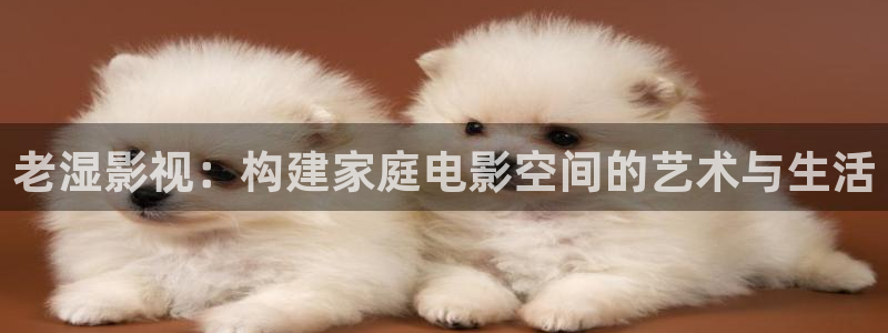 樱桃大片视频：老湿影视：构建家庭电影空间的艺术与生活