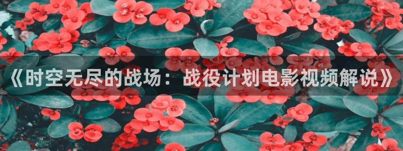 97樱桃视频：《时空无尽的战场：战役计划电影视频解说》