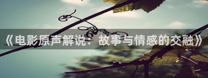樱桃水果视频：《电影原声解说：故事与情感的交融》