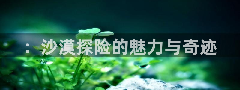樱桃小视频手机在线观看：：沙漠探险的魅力与奇迹