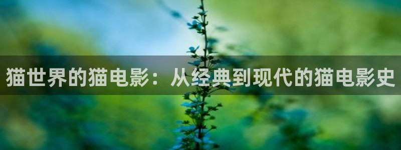 www.樱桃视频..com：猫世界的猫电影：从经典到现代的猫电影史