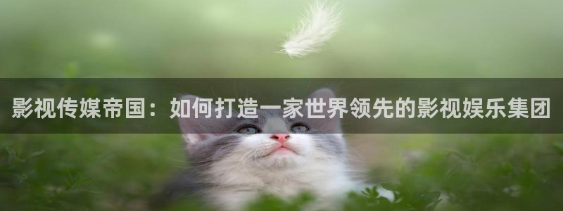 电视剧樱桃红视频：影视传媒帝国：如何打造一家世界领先的影视娱乐集团