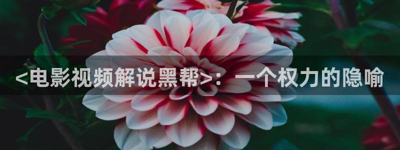 樱桃视频apk：<电影视频解说黑帮>：一个权力的隐喻