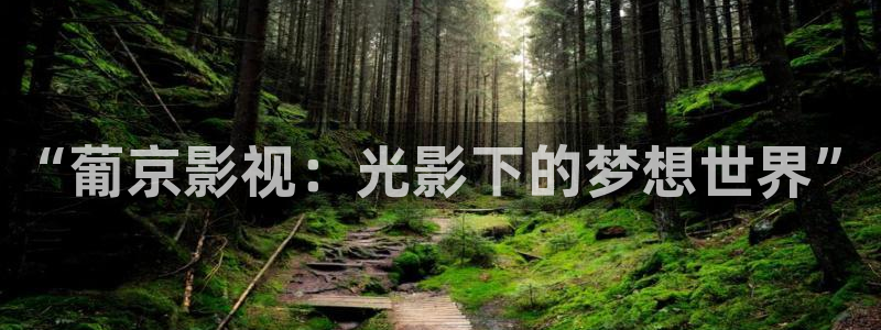 樱桃正红电视剧全集在线观看免费：“葡京影视：光影下的梦想世界”