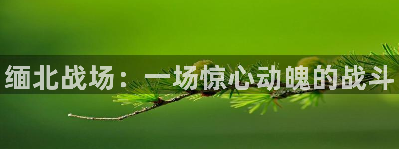 樱桃视频免：缅北战场：一场惊心动魄的战斗