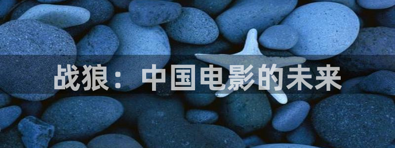 樱桃在线观看电影：战狼：中国电影的未来