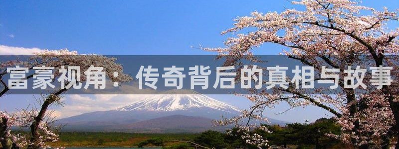 樱桃修剪技术视频：富豪视角：传奇背后的真相与故事