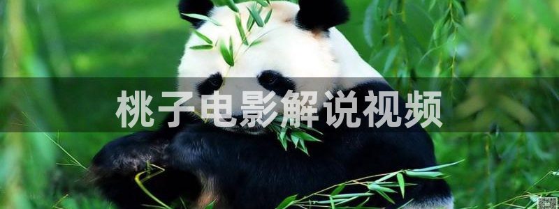 樱桃视频,网站：桃子电影解说视频