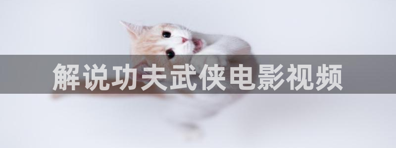 樱桃视频免费观看官网：解说功夫武侠电影视频