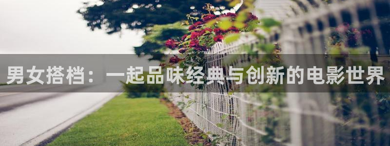 樱桃视频的下载：男女搭档：一起品味经典与创新的电影世界