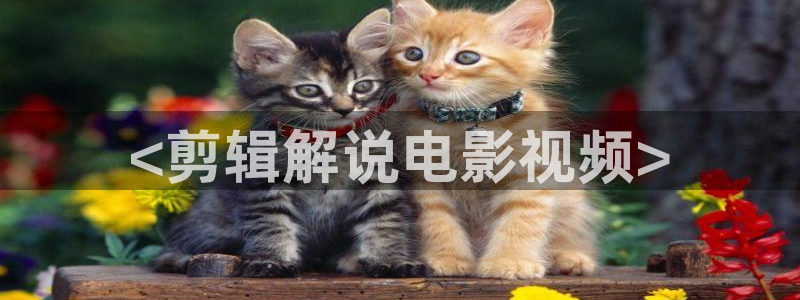 污视频樱桃：<剪辑解说电影视频>