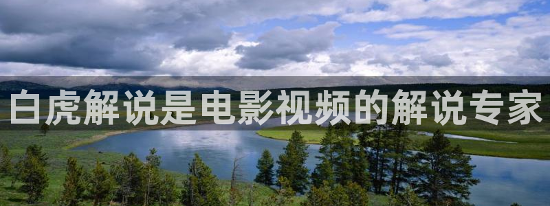 深夜樱桃视频：白虎解说是电影视频的解说专家