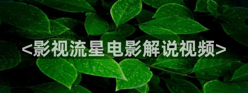 樱桃视频全集免费观看：<影视流星电影解说视频>