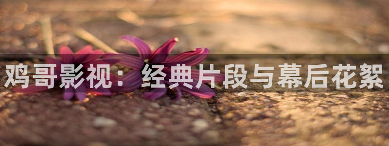 樱桃精品：鸡哥影视：经典片段与幕后花絮