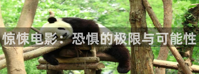 樱桃成视频人：惊悚电影：恐惧的极限与可能性